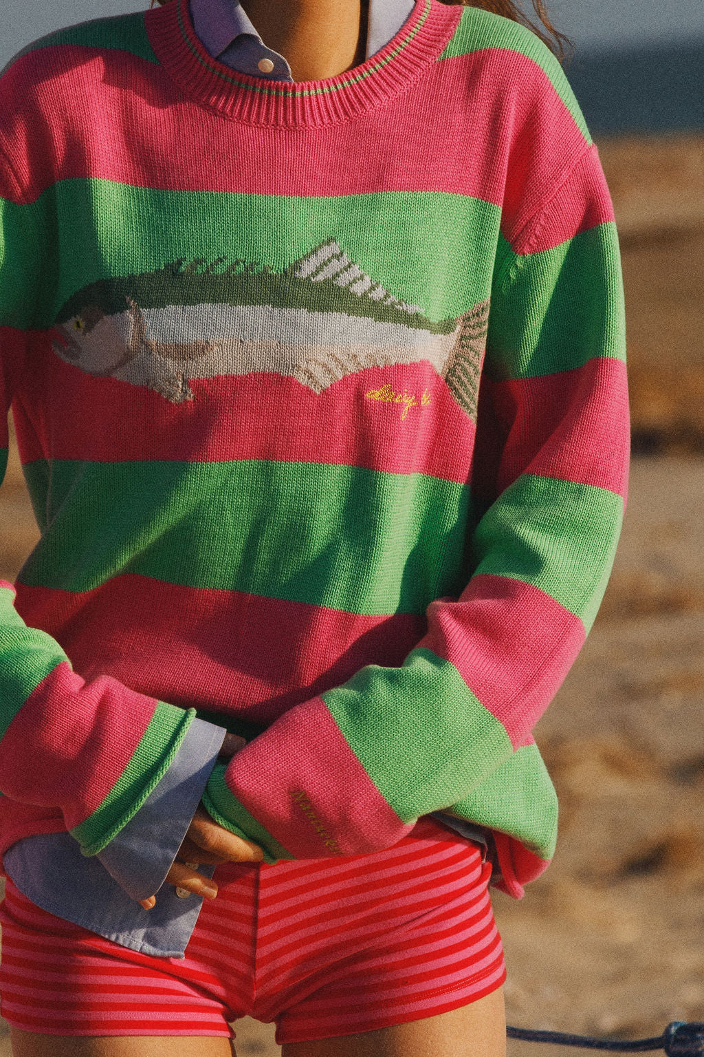 Bluefish Sweater - Watermelon Stripe